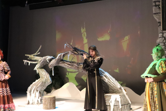 Зимняя небылица