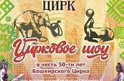 Цирковое шоу в честь 50-летия Башкирского цирка