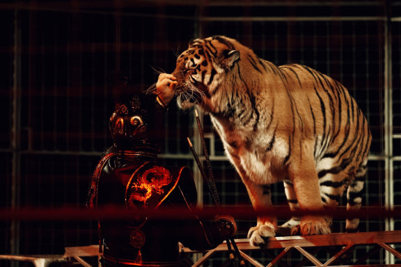 &TScy;&icy;&rcy;&kcy; "&Kcy;&ocy;&lcy;&icy;&zcy;&iecy;&ucy;&mcy;" &gcy;&period; &Ucy;&fcy;&acy;